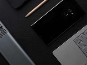 機身材質大觀 投影穿的都是什么衣服