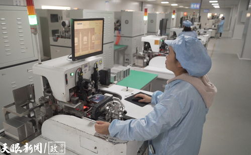 多彩貴州網(wǎng) 遵義這家企業(yè)每年出口數(shù)億顆 小星星