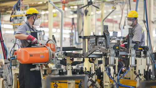 山東莒縣 科技推動(dòng)縣域制造業(yè)智能發(fā)展