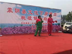 蒙陰桃墟鎮(zhèn)開展送文化下鄉(xiāng)文藝演出暨文化藝術(shù)交流活動